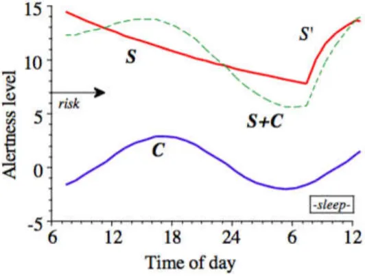 Figura 3 - The Three Process Modelo of Alertness (TPM) 27