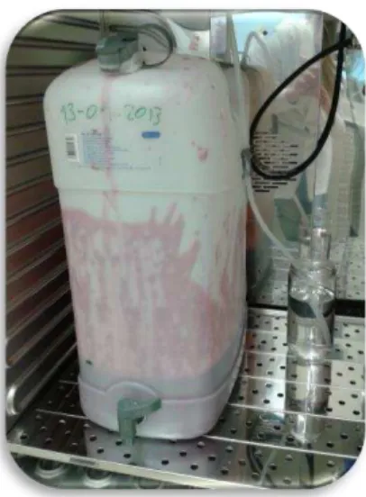 Figura 16 - Depósito de plástico em estufa climatizada para fermentações alcoólicas 