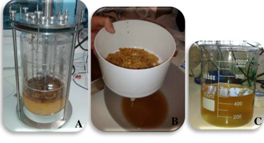 Figura 21 - A  –  Aspeto do mosto após término da fermentação, B  –  Filtração do mosto  fermentado, C – Fermentado alcoólico de marmelo após filtração a vácuo 
