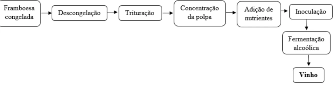Figura 24 - Fluxograma para elaboração de vinho de framboesa com concentração da polpa 