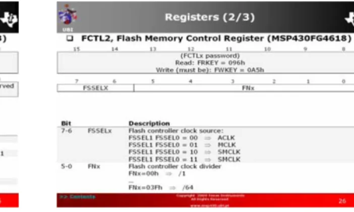 Figure 4 – Slides of the covered topics in the Flash Programming section. 