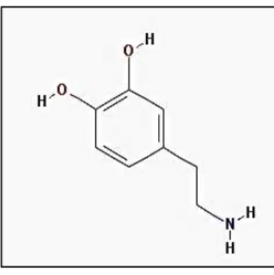 Figura 5. Estrutura química da Dopamina (Retirado de National Center for Biotechnology Information,  s.d.-c) 