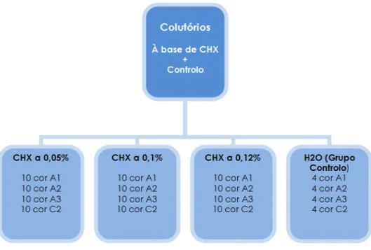 Figura 5: Distribuição das amostras de resina bulk-fill pelos colutórios de CHX em estudo