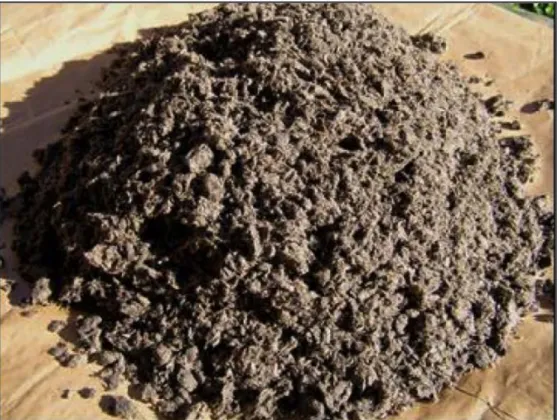 Figure 2. Sample of pulp mill sludge. 