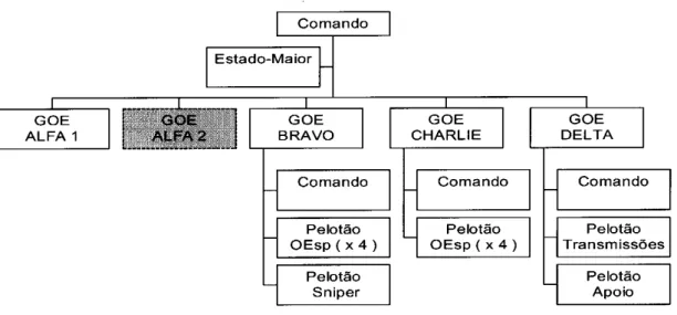 Fig. 6 - Orgânica da Força de Operações Especiais                                              