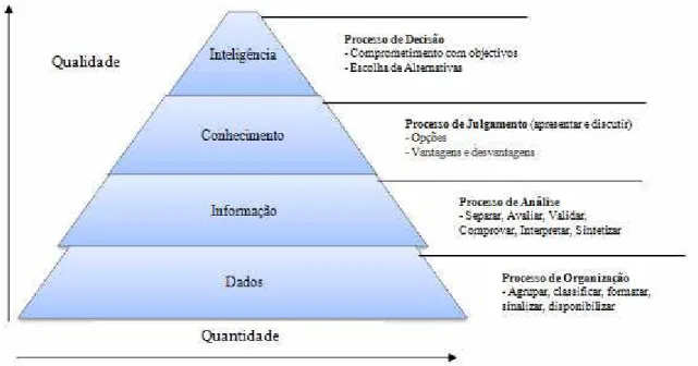 Figura 1 – Pirâmide Informacional  