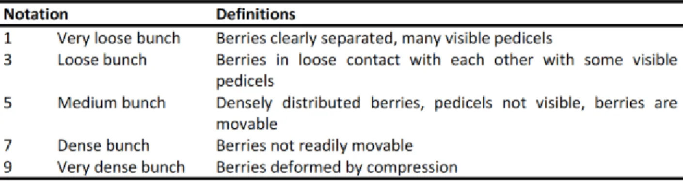 Table 1: Criteria for bunch compactness evaluation. Adapted from Tello (2014). 