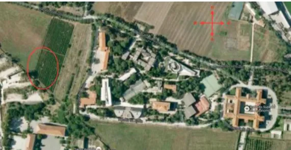 Figure 1: Aerial Picture of Tapada da Ajuda Vineyard, in Instituto Superior de Agronomia, Lisboa