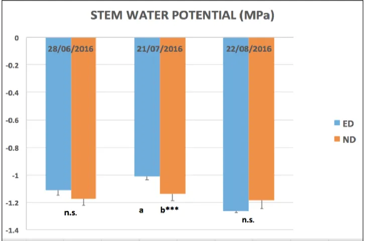 Figure 9: Midday stem water potential measured in Trincadeira vineyard, Tapada da Ajuda, during three different  phenological stages: post-flowering (28th June), veraison (21st July) and ripening (22nd August); in early defoliated  (ED) and non-defoliated 