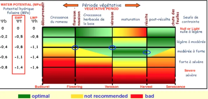 Figure 10: Values of water potential along the vegetative period; in green indicated optimal range of water deficit  for a high quality red wine; blue circles show the measured SWP in Trincadeira vineyard