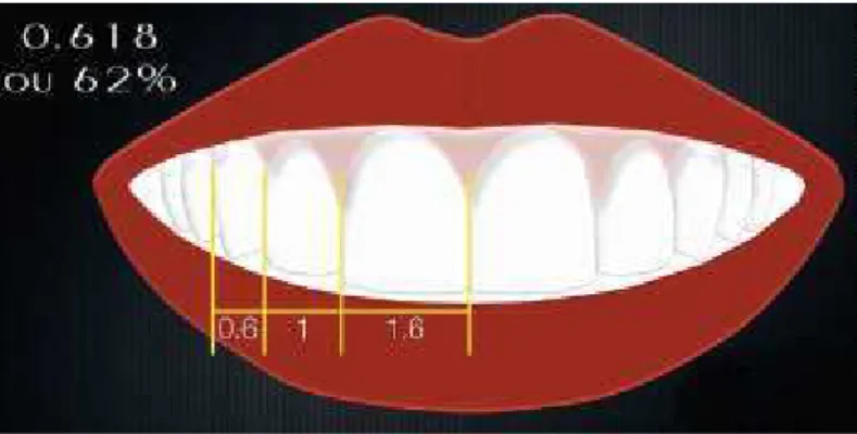Figura 6- Princípio da proporção áurea quanto à exposição dentária na zona estética. Fonte: (Wilson  Machado, 2014) 