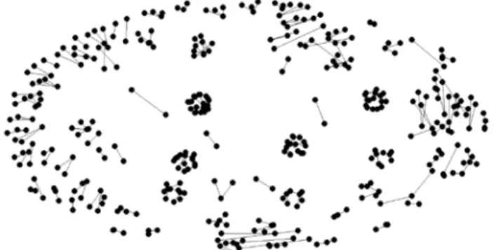Figura 1- Rede da população em escala geodésica.