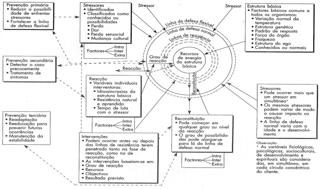 Figura 1. Diagrama do Modelo de Sistemas de Neuman. 