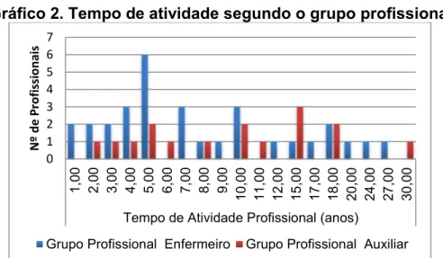 Gráfico 2. Tempo de atividade segundo o grupo profissional 