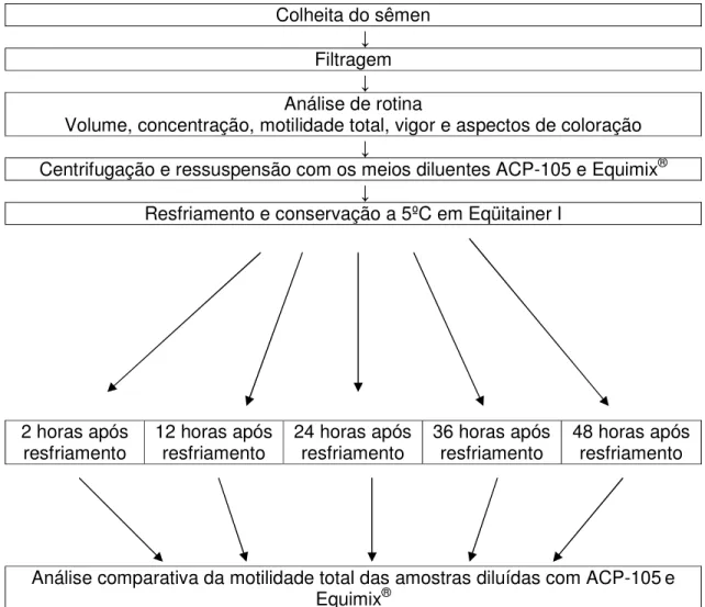 Figura 1 – Diagrama ilustrativo da primeira fase do experimento. 