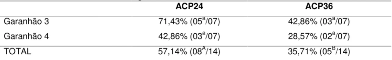 Tabela  3.   Taxa  de  prenhez  de  éguas  inseminadas  artificialmente  com  sêmen  dos  garanhões  3  e  4  diluído  em  ACP-105  com  24  (ACP24)  e  36  (ACP36)  horas de conservação a 5ºC 