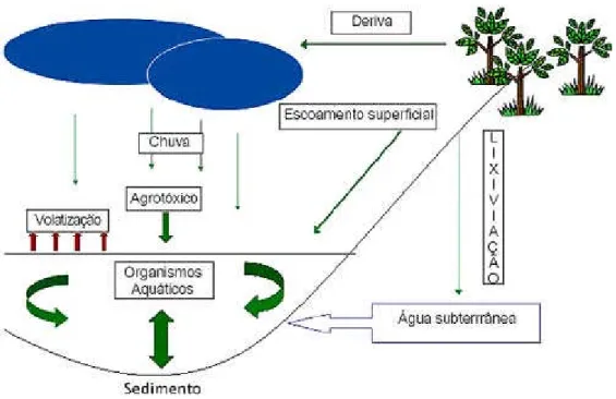 Figura 3. Movimento dos agrotóxicos em ecossistemas aquáticos. Fonte: TOMITA, (2002).