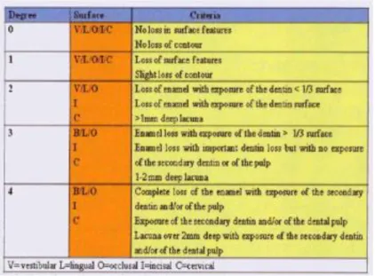 Figura 4. «Tooth Wear Index» by Smith and Knight (1984) (Picos et al., 2013) 