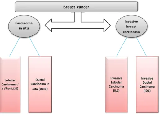 Figure 2. Schematic division of the major types of breast cancer. 