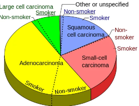 Figure 3.4.3 Pie chart of  types of lung cancer, considering the smoking status. 