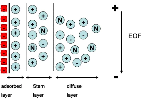 Figure 1-Representation of the double layer at the surface of the inner wall of fused-silica  capillary column
