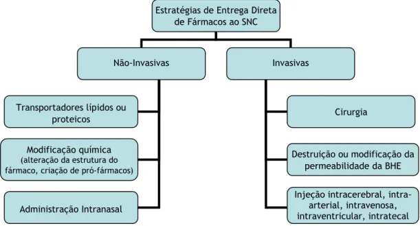Figura 1. Estratégias de entrega direta de fármacos ao Sistema Nervoso Central (SNC) [adaptado  de 6]