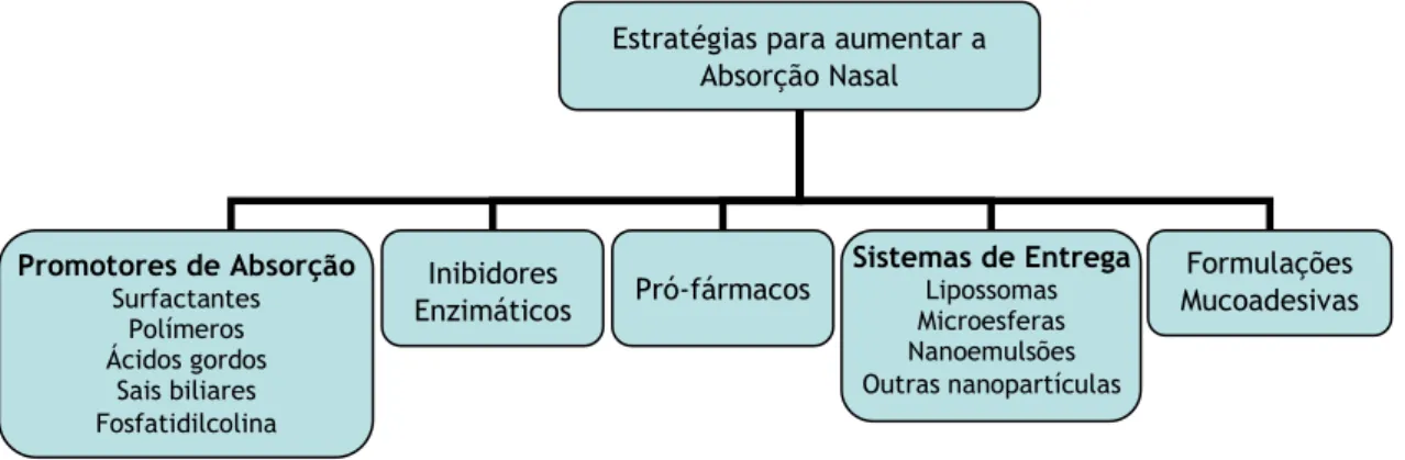 Figura 5. Estratégias para aumentar a absorção nasal [adaptado de 10]. 
