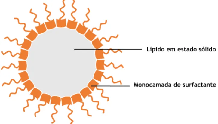 Figura 11. Representação das nanopartículas lipídicas sólidas.