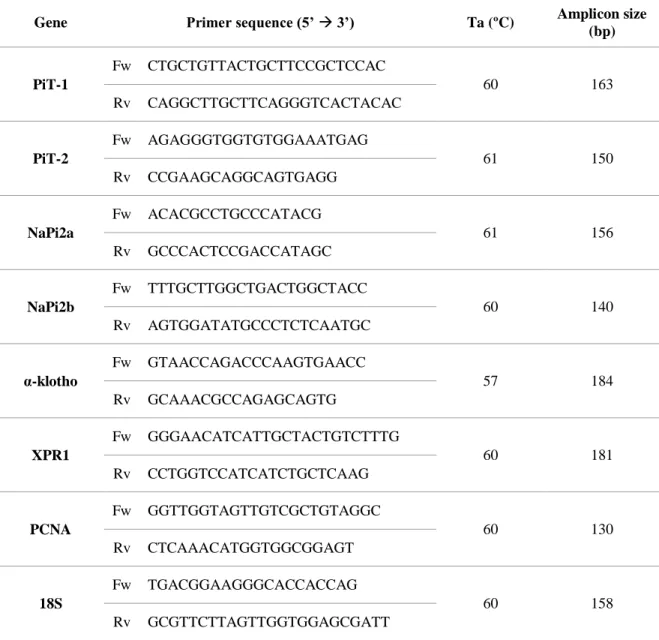 Table 2 - Primer sequences for both PCR and RT-PCR reactions, forward (Fw) and reverse (Rv)