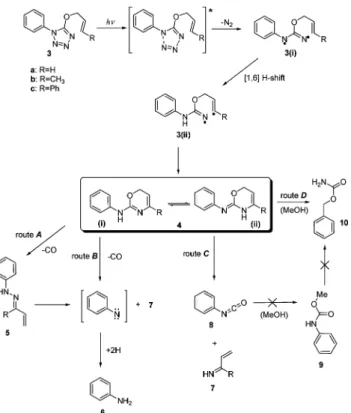Fig. 2 Proposed photodegradation pathways for 5-allyloxy-tetrazoles 3a–c, in solution.