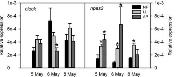 Fig 3. Transcript levels of clock genes in the brain of sea bass exposed to different photoperiods