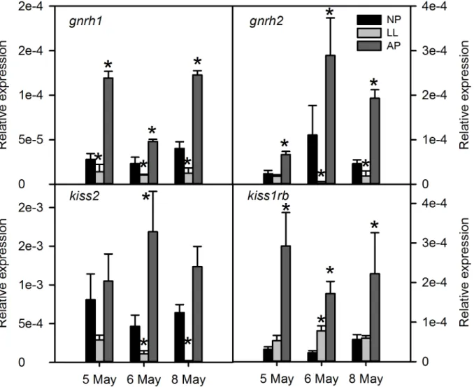 Fig 4. Transcript levels of reproductive axis genes in the brain of sea bass exposed to different photoperiods