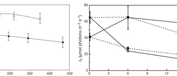 Fig. 2. Halophila stipulacea. Maximal photosynthetic rates (P max ) at 0, 6 and 14 d after transplantation from 8 to 33 m depth ( s , —–), from 33 to 8 m ( d , —–) and the corresponding controls (– – – )