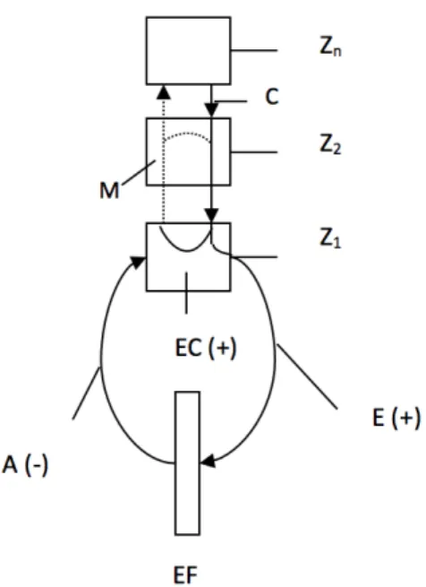 Figura 3: O modelo da cópia eferente.