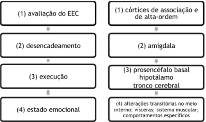 Figura 9: Diagrama das fases principais do desencadeamento e execução de emoções, usando o medo  como exemplo