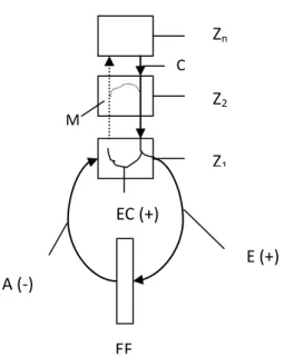 Figura 3: O modelo da cópia eferente. 