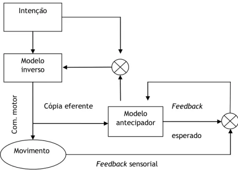 Figura  6:  Modelo  da  acção  em  feedforward.  O  comando  motor  é  enviado  simultaneamente  para  o  sistema  sensório-motor  e  para  um  previsor