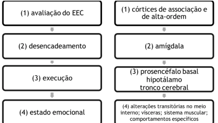 Figura 9: Diagrama das fases principais do desencadeamento e execução de emoções, usando o medo     como exemplo