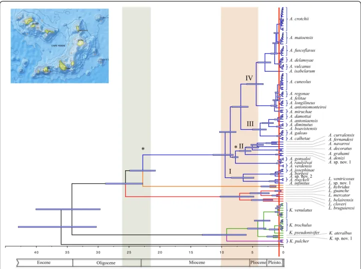 Fig. 4 Chronogram based on mt genomes (concatenated protein coding plus rRNA genes analyzed at the nucleotide level) and using the fixed topology of the ML tree shown in Figs