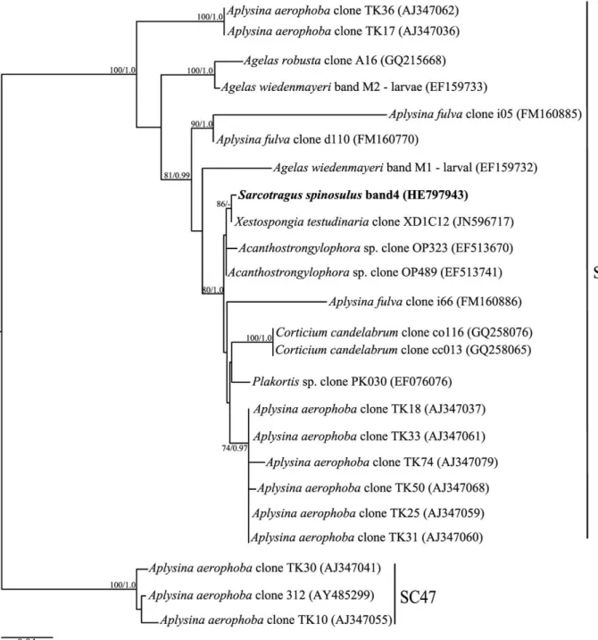 Figure 6. Phylogenetic inference of Chloroflexi 16S rRNA genes. Tree construction procedure was as described for Figure 4, except that sequences from SC46 were selected along with sequences from SC47, which were used as outgroup [34]