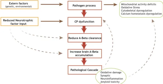 Figure  2:  Proposed  sequence  of  pathological  processes  involved  in  Alzheimer’s  disease