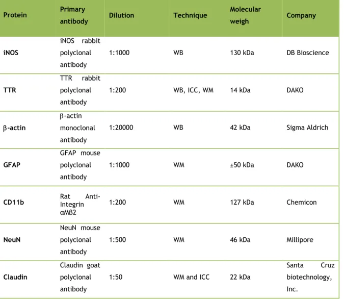 Table  1  : Primary  antibodies  used  in  immunofluorescence  and  Western  analysis  and  their  respective 