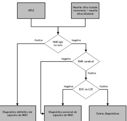 Figura 4 – Algoritmo diagnóstico de doenças do espectro da neuromielite ótica adaptado  de Sellner, J., Boggild, M., Clanet, M