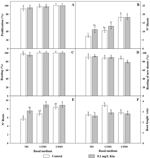 Figure 2.3.5 - Effect of MS medium concentration and addition of Kin (0.1 mg/L) on proliferation and  rooting of D
