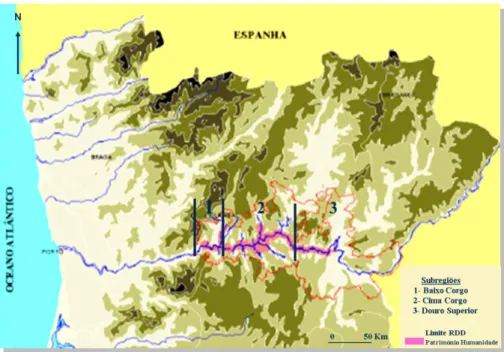 Fig. 1- A Região Demarcada do Douro e as suas subregiões. 