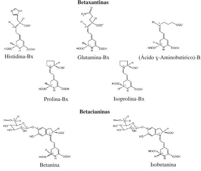 Figura 2 - Estruturas químicas de betaxantinas e betacianinas (Adaptado de  [15], tradução da autora)