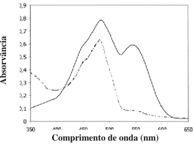 Figura 4 – Espetro representativo da Absorvância dos extratos de betalaínas de figos de pita vs comprimento de  onde (nm); Linha preenchida: Fruto de cor vermelho/violeta, com dois picos, um a 484 nm (betaxantina) e outro a 