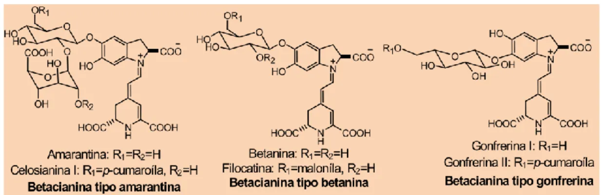 Figura 5 – Betanidina glicosidada nas posições 5’O e 6’O: Molécula central – Betanidina glicosilada na posição  5’O formando betanina; Molécula mais à direita – Betanidina glicosilada na posição 6’O formando gonferina