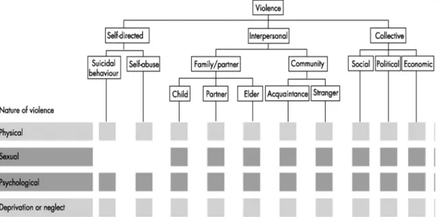 Ilustração 1. Tipologia de violência (OMS) 