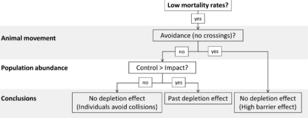Fig. 2. Paths leading to the most likely conclusions about the impact of an infrastructure on animal populations using a Control Impact design and considering the patterns of mortality, the movement behavior of individuals towards the infrastructure, and a